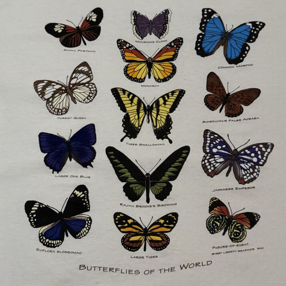 Vintage 90s Butterflies of the World T Shirt XL Hanes Liberty Graphics Nature - Picture 3 of 4